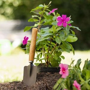 Bunte Beete: Blumenmotiv