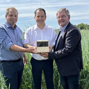 Auswilderung Feldhamster 2025