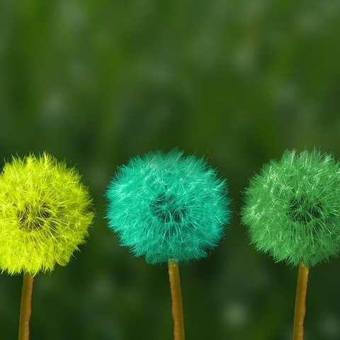 Gemeinsam entschleunigen