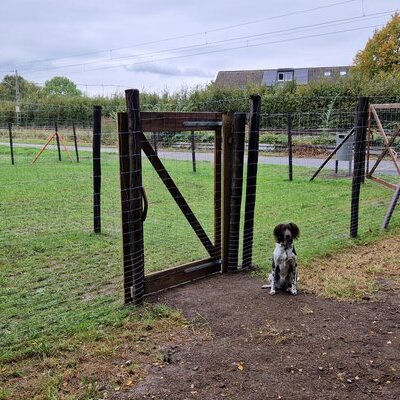 Hund vor der Hundewiese Pulheim